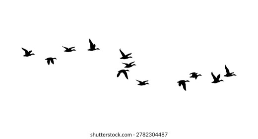 flock of ducks flying in the air, flock of flying ducks vector illustration.