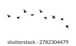 flock of ducks on a white background. flock of ducks illustration. flock of birds.