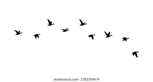 flock of ducks on a white background. flock of ducks illustration. flock of birds.