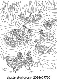 Flock Of Ducks Swimming In Pond Water With Tall Grass Colorless Line Drawing. Multiple Wild Goose Playing On A Lake Coloring Book Page.