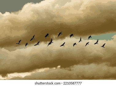 
 A flock of egrets flying in the evening sky The background is beautiful clouds.