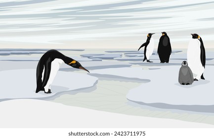 A flock of emperor penguins with chicks stand on the ice floes and the seashore. Birds of the South Poles. Realistic vector landscape