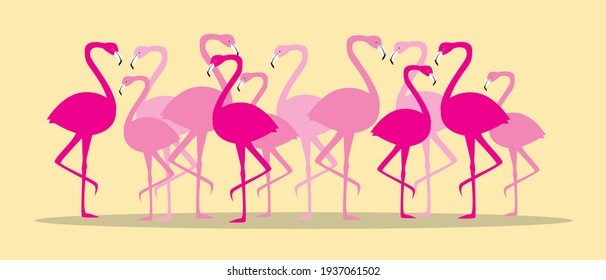 Flock of flamingos isolated. Flat vector stock illustration. Pink exotic birds. A flock of tropical flomingos. Animals on a yellow background. A group of birds. Natural isolated illustration