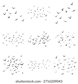 Una bandada de siluetas de pájaros voladores. Grande set. Negro sobre fondo blanco.