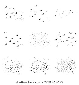 Una bandada de siluetas de pájaros voladores. Grande set. Negro sobre fondo blanco.