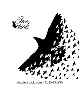 A flock of flying birds. Abstraction from birds. Vector illustration