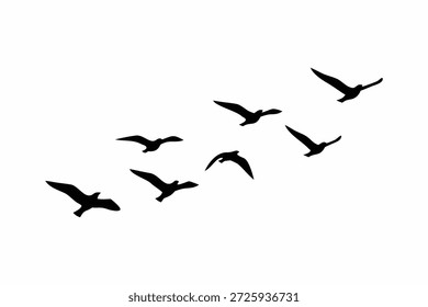 Herde von fliegenden Vögeln, Schwarze Vektorherde Silhouetten einzeln