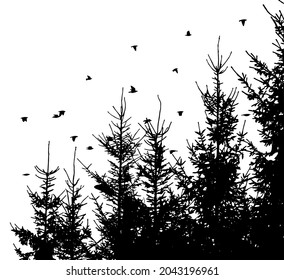 A flock of flying birds and a fir forest. Vector illustration