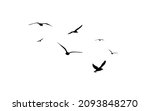 A flock of flying birds. Free birds. Flying seagulls. Vector illustration