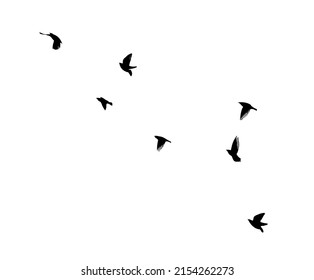 A flock of flying birds. Free birds. Flying seagulls. Vector illustration