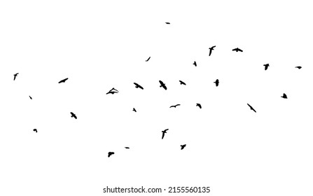 A flock of flying birds. Free birds. Flying seagulls. Vector illustration