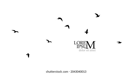 A flock of flying birds. Free birds. Vector illustration