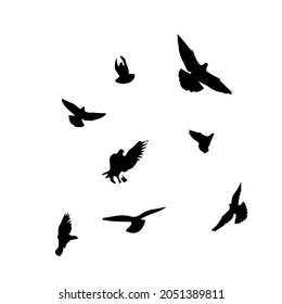 A flock of flying birds. Free birds. Vector illustration