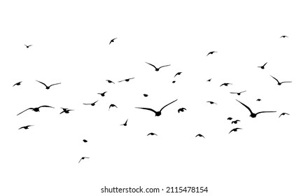 A flock of flying birds. Free birds. Vector illustration