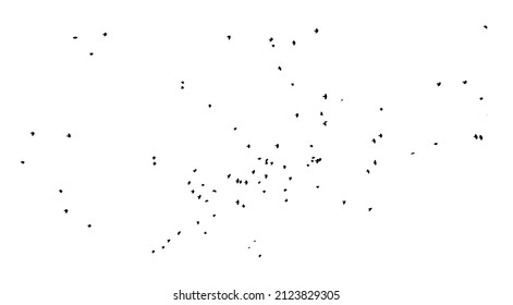 A flock of flying birds. Free birds. Vector illustration