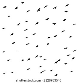 A flock of flying birds. Free birds. Vector illustration