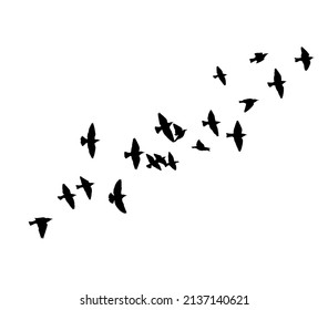 A flock of flying birds. Free birds. Vector illustration