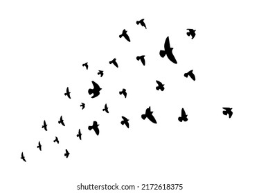 Un rebaño de pájaros voladores. Aves libres. Ilustración del vector