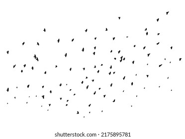 A flock of flying birds. Free birds. Vector illustration