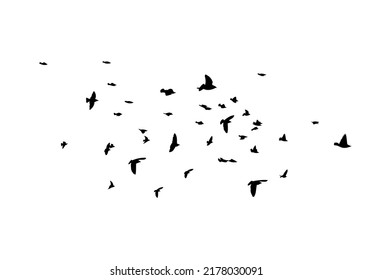 A flock of flying birds. Free birds. Vector illustration