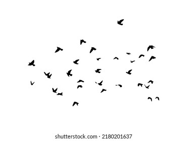 1,798 Flock of crows Stock Vectors, Images & Vector Art | Shutterstock