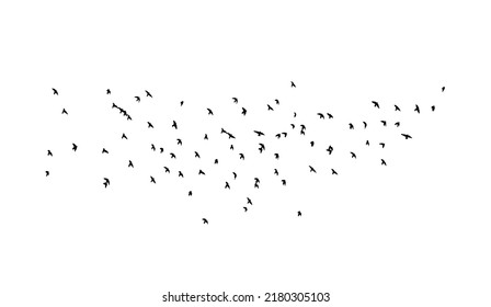 A flock of flying birds. Free birds. Vector illustration