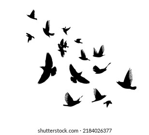 A flock of flying birds. Free birds. Vector illustration