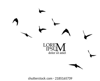 A flock of flying birds. Free birds. Vector illustration
