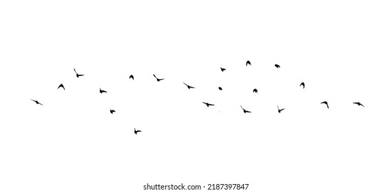 A flock of flying birds. Free birds. Vector illustration