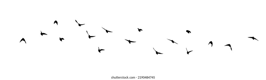 A flock of flying birds. Free birds. Vector illustration
