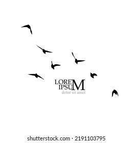 A flock of flying birds. Free birds. Vector illustration