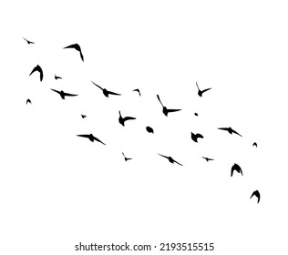 A flock of flying birds. Free birds. Vector illustration