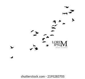A flock of flying birds. Free birds. Vector illustration