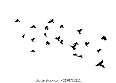 A flock of flying birds. Free birds. Vector illustration