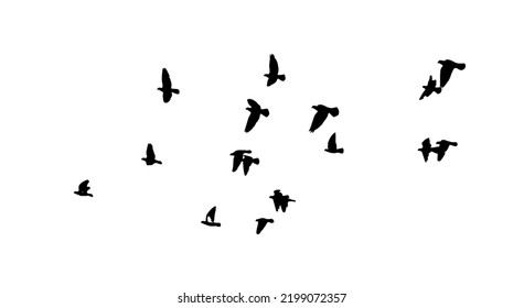 A flock of flying birds. Free birds. Vector illustration