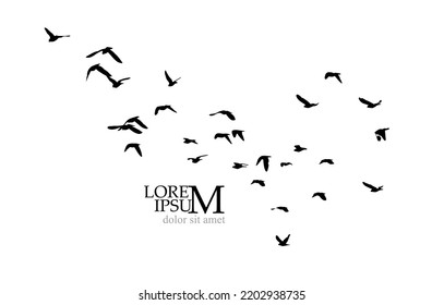 A flock of flying birds. Free birds. Vector illustration