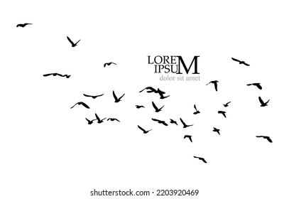 A flock of flying birds. Free birds. Vector illustration