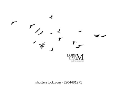 A flock of flying birds. Free birds. Vector illustration