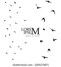 A flock of flying birds. Free birds. Vector illustration