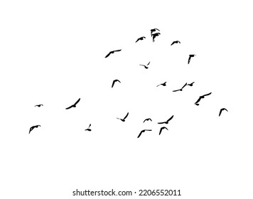 A flock of flying birds. Free birds. Vector illustration