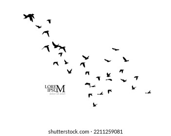 A flock of flying birds. Free birds. Vector illustration