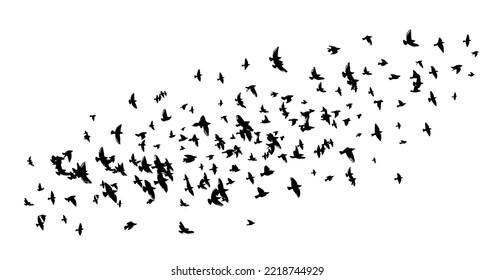 A flock of flying birds. Free birds. Vector illustration