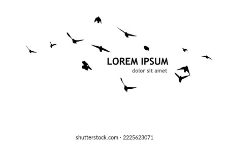 A flock of flying birds. Free birds. Vector illustration