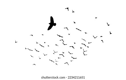 A flock of flying birds. Free birds. Vector illustration
