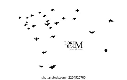 A flock of flying birds. Free birds. Vector illustration