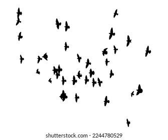 A flock of flying birds. Free birds. Vector illustration