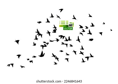 A flock of flying birds. Free birds. Vector illustration