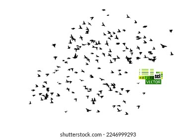 A flock of flying birds. Free birds. Vector illustration