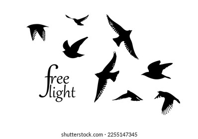 A flock of flying birds. Free birds. Vector illustration