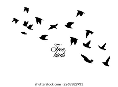 A flock of flying birds. Free birds. Vector illustration